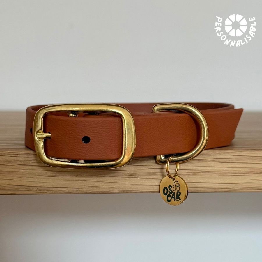 Laisse multi-positions Camel