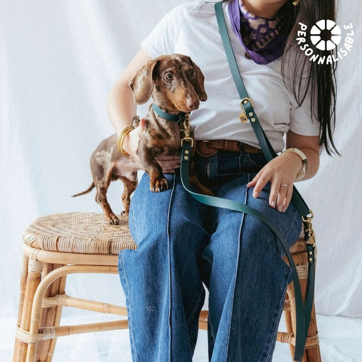 Laisse multi-positions émeraude