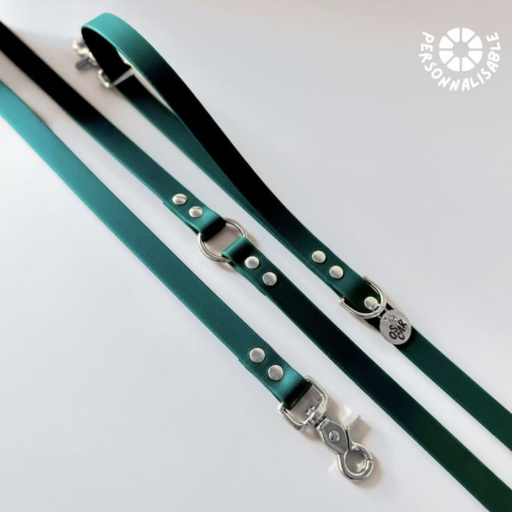 Laisse multi-positions émeraude