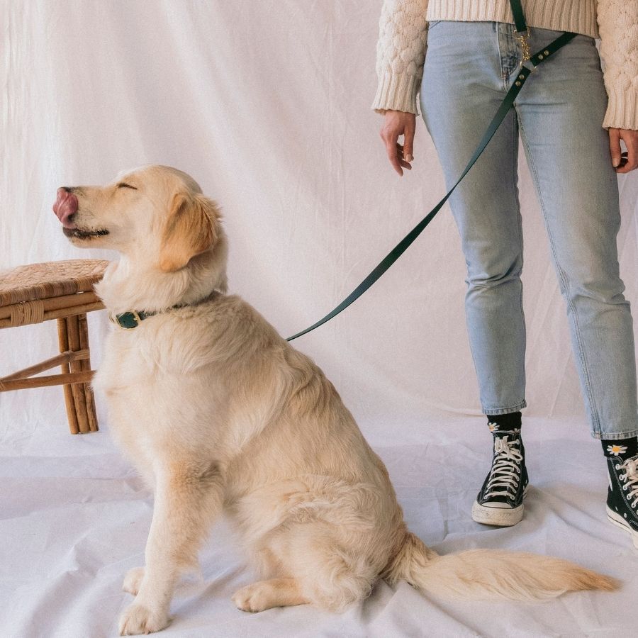 Laisse multi-positions émeraude