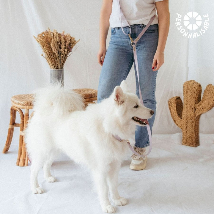 Laisse multi-positions Lilas