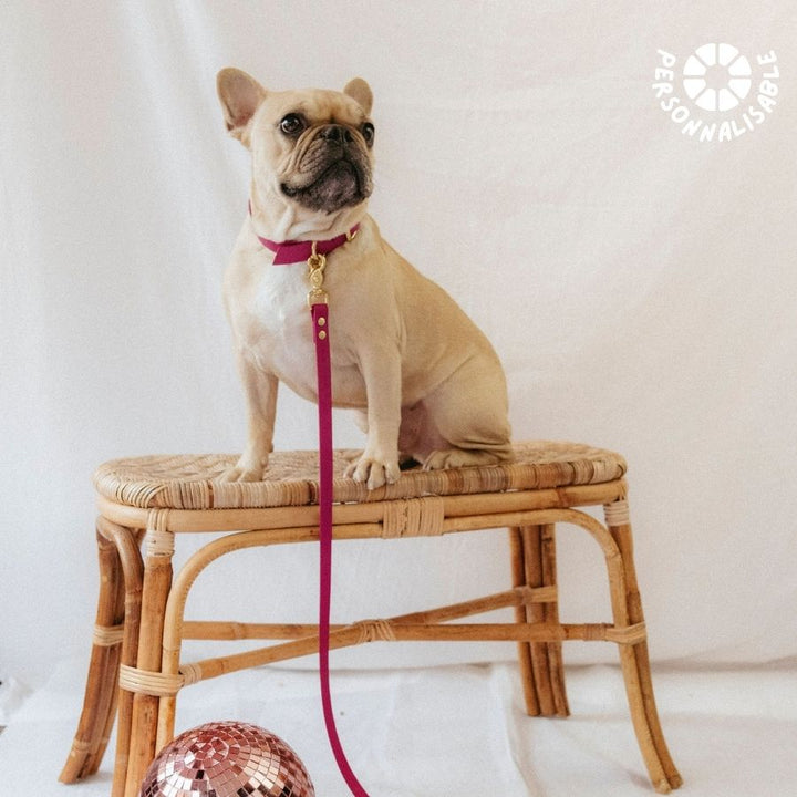 Laisse multi-positions Magenta