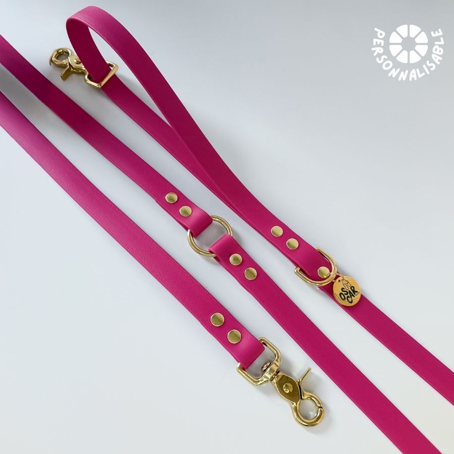 Laisse multi-positions Magenta