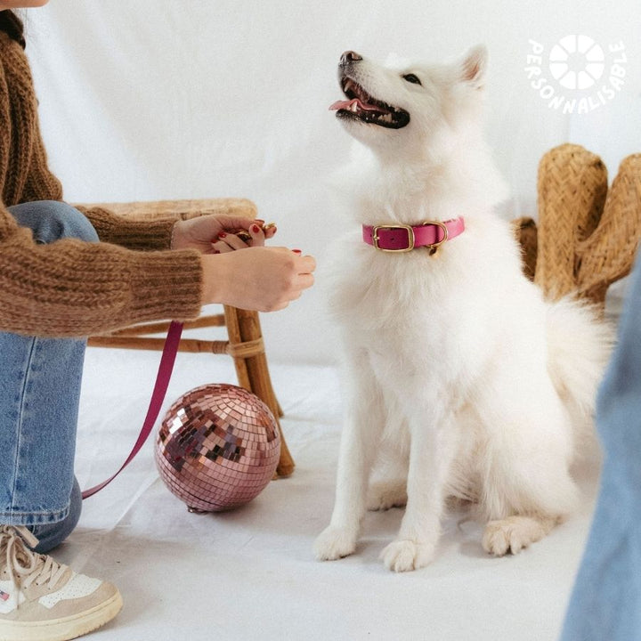 Laisse multi-positions Magenta