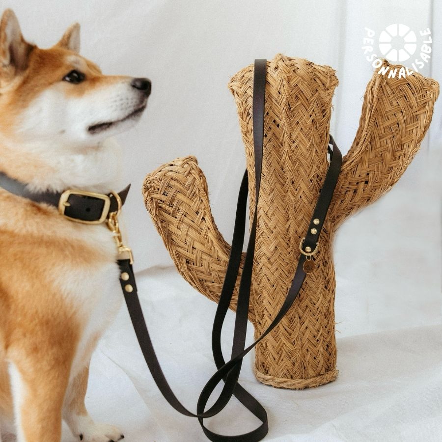 Laisse multi-positions Noire