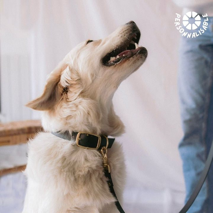 Laisse multi-positions Noire