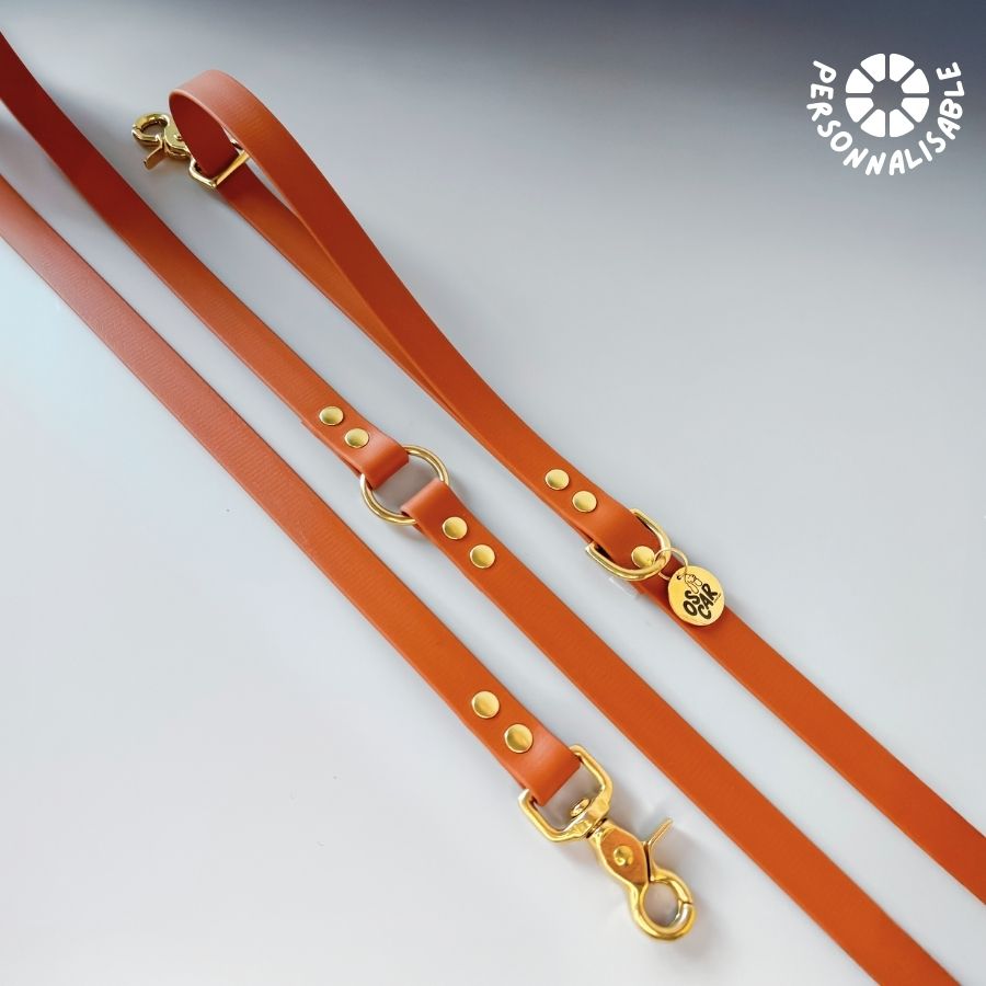 Laisse multi-positions Orange