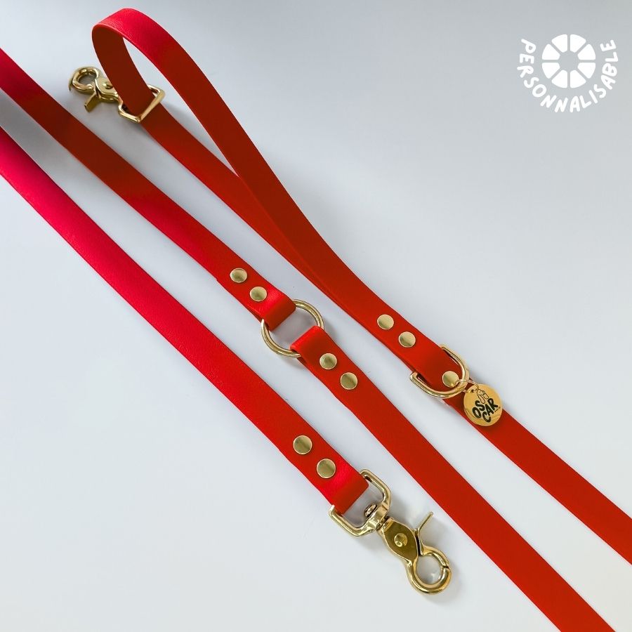 Laisse multi-positions rouge