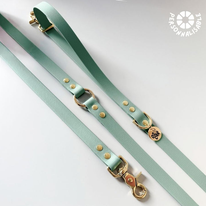 Laisse multi-positions Sauge