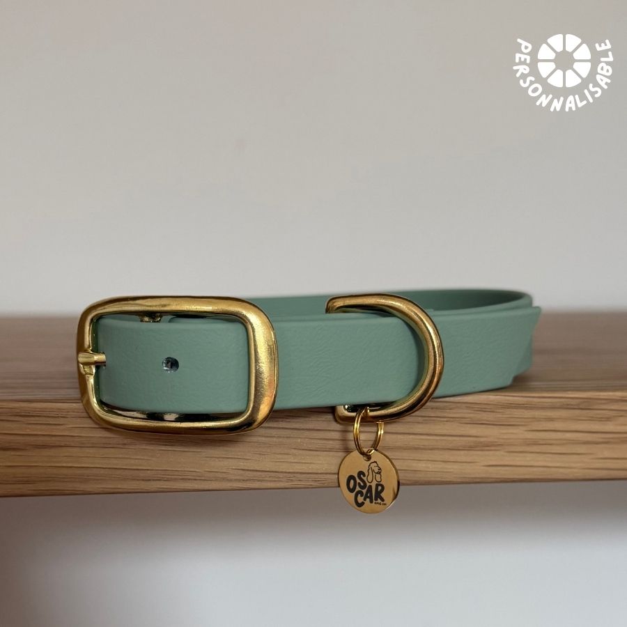 Laisse multi-positions Sauge