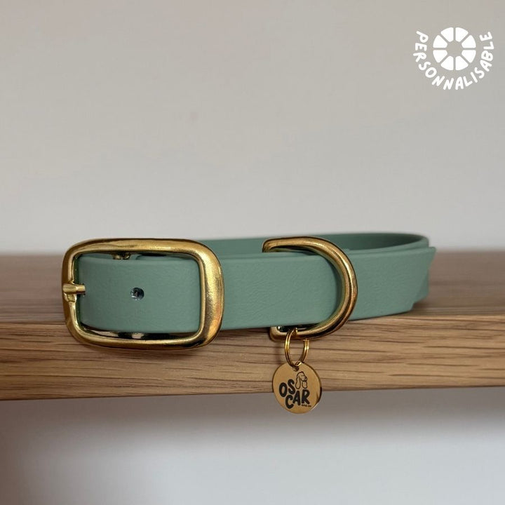 Laisse multi-positions Sauge