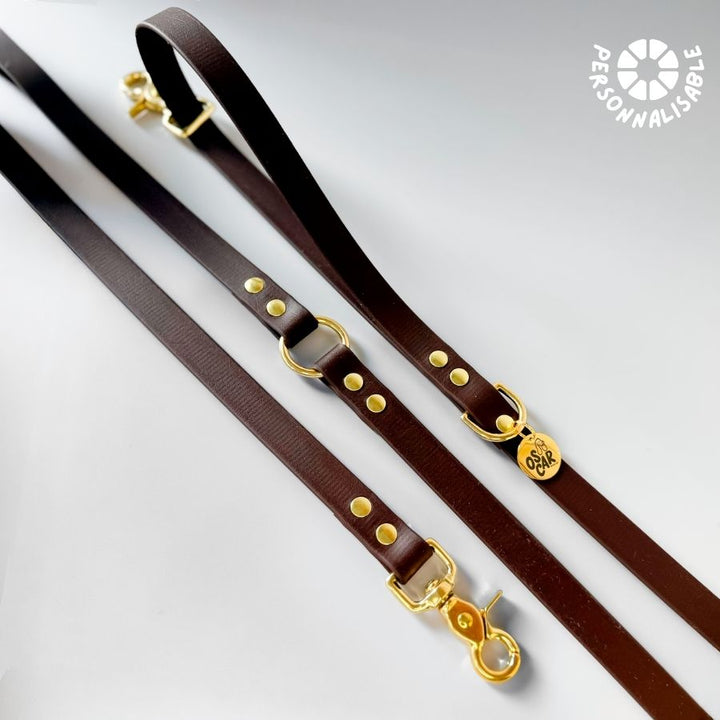 Laisse multi-positions tonka