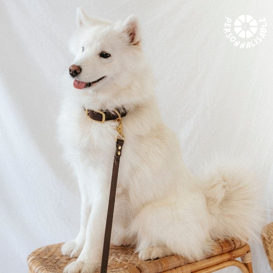 Laisse multi-positions tonka