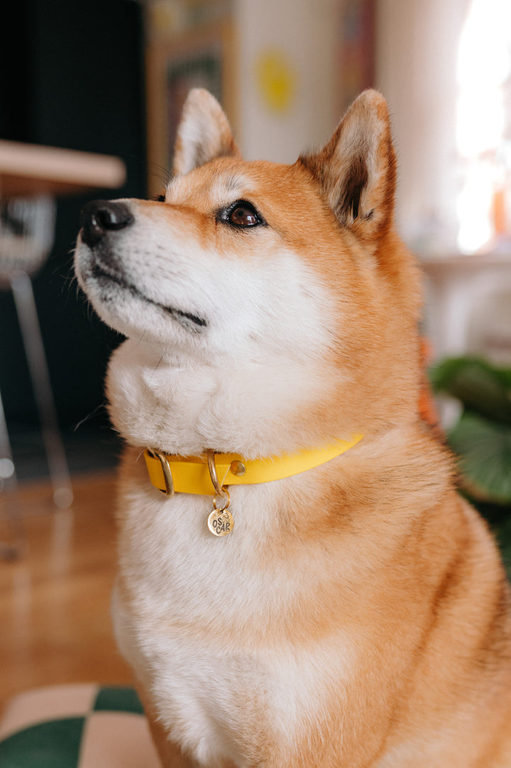 Collier jaune by Tim
