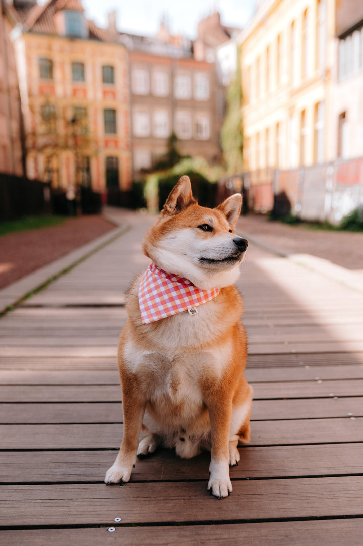 Bandana Vanille