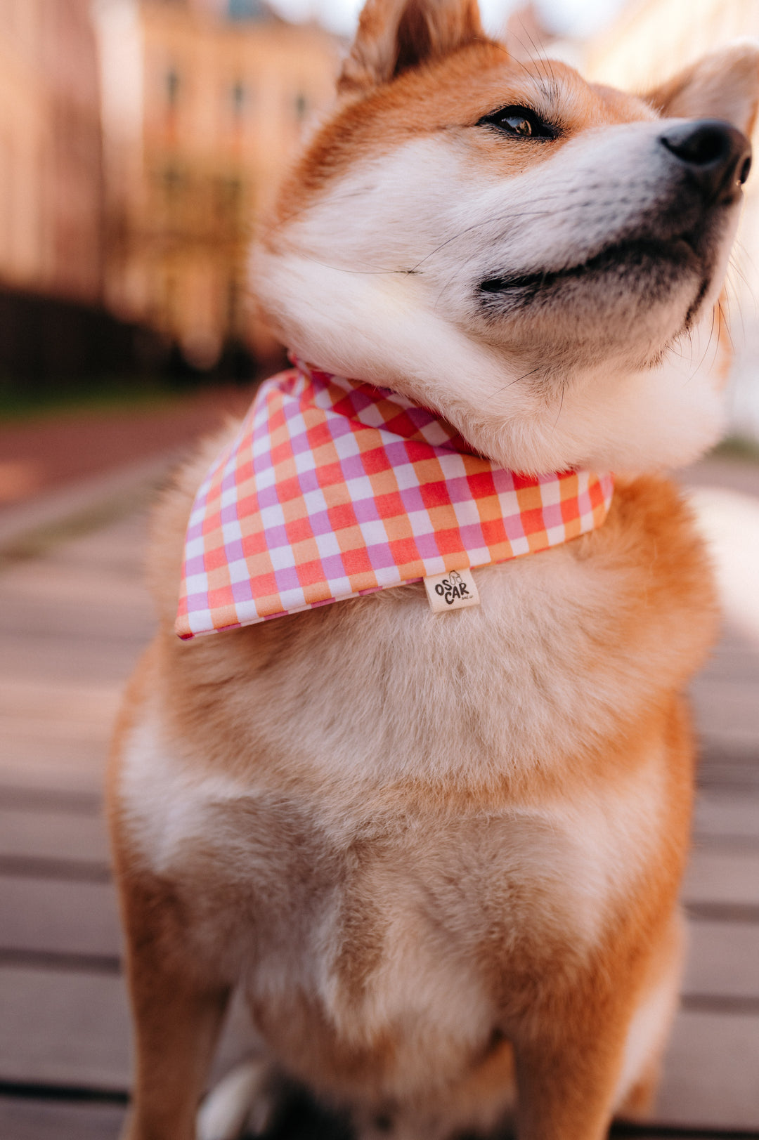 Bandana Vanille
