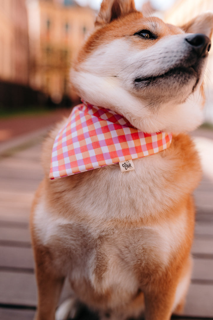 Bandana Vanille