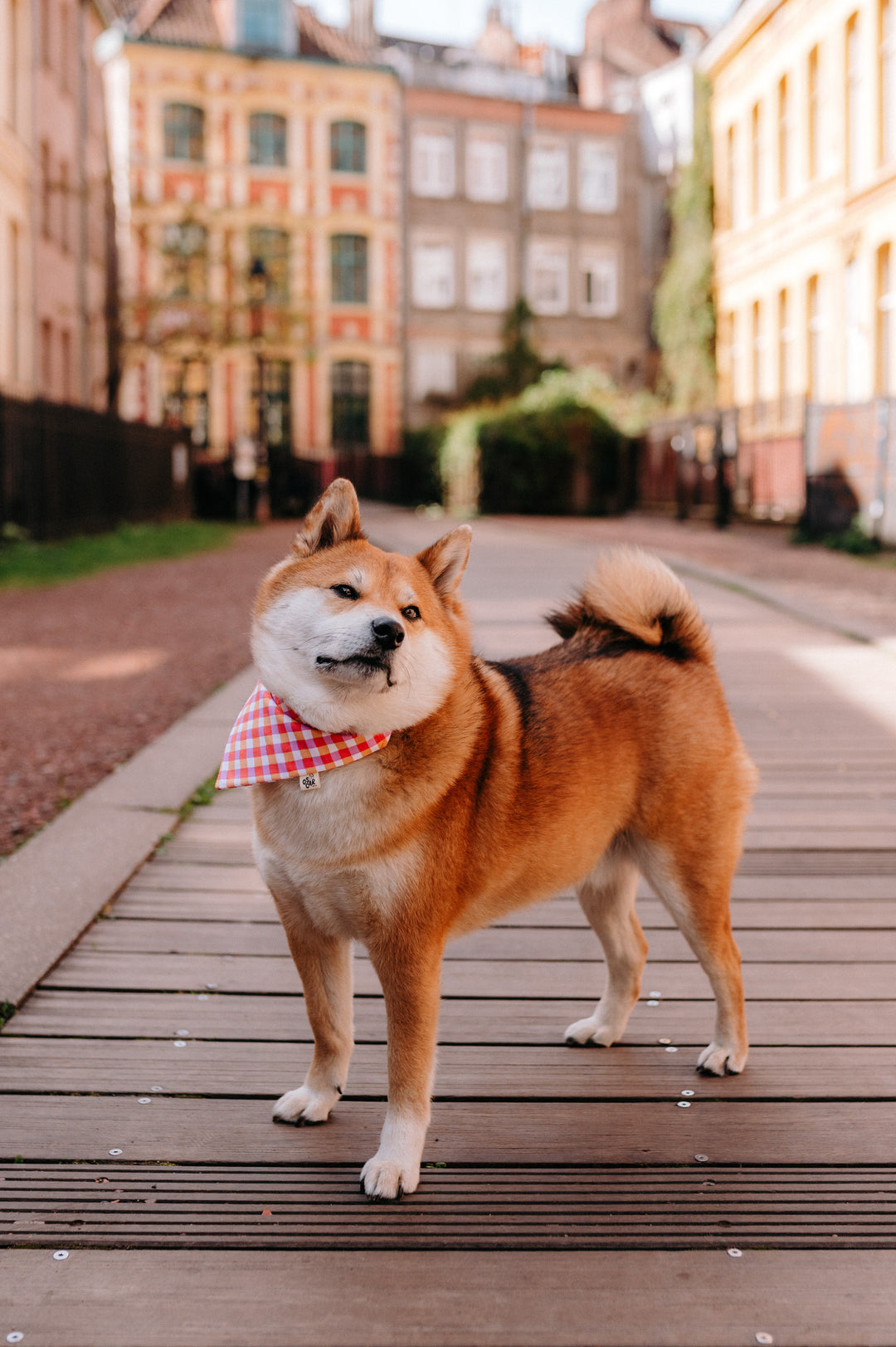 Bandana Vanille