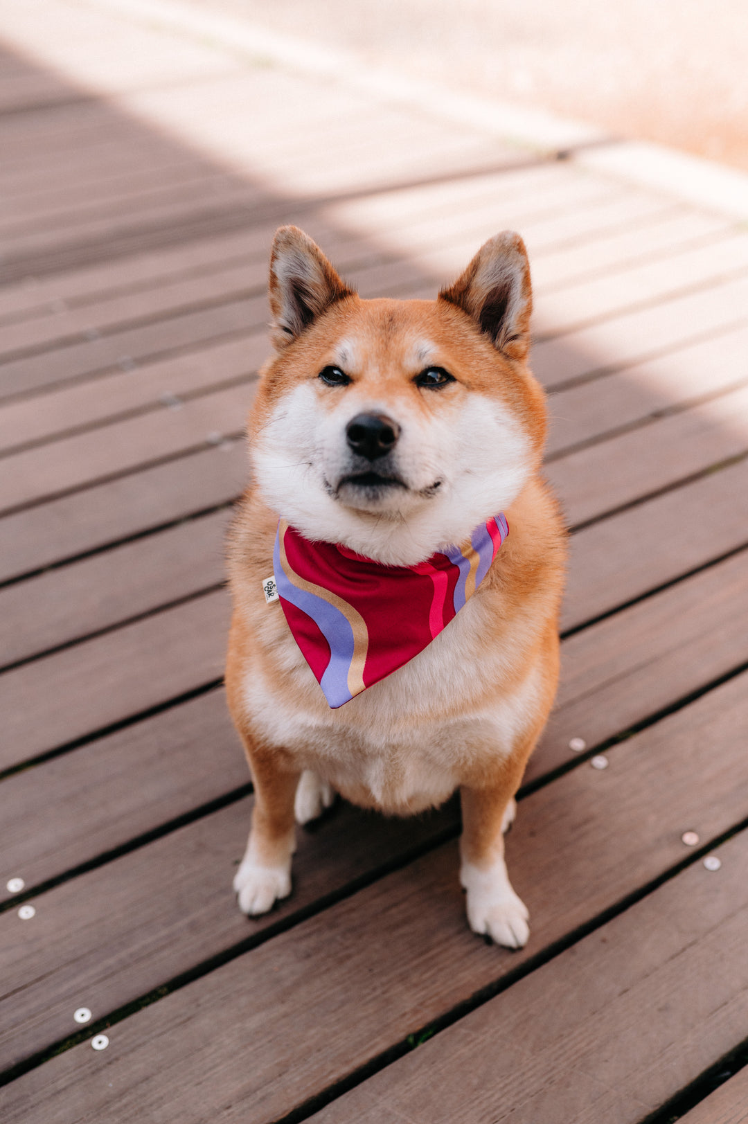 Bandana Disco