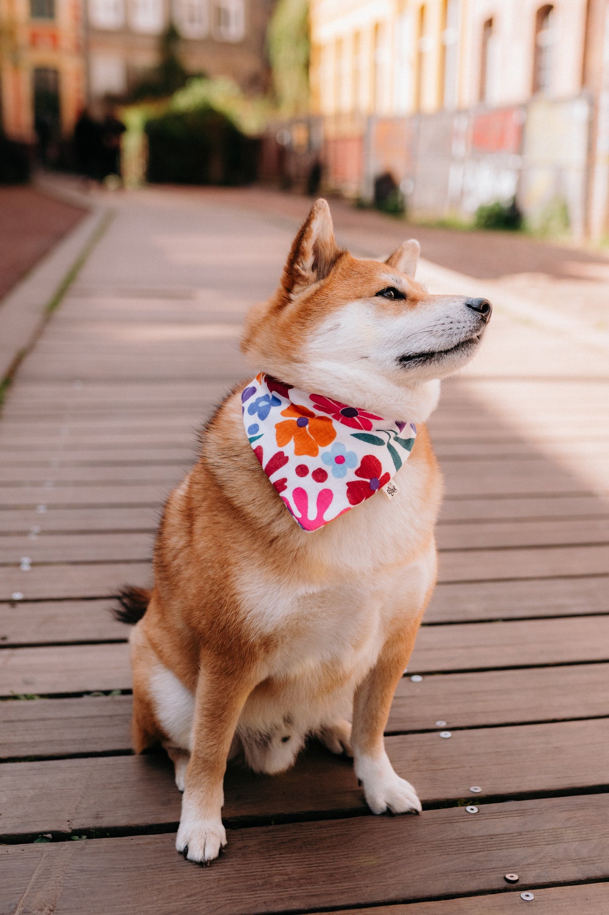 Bandana Laurette