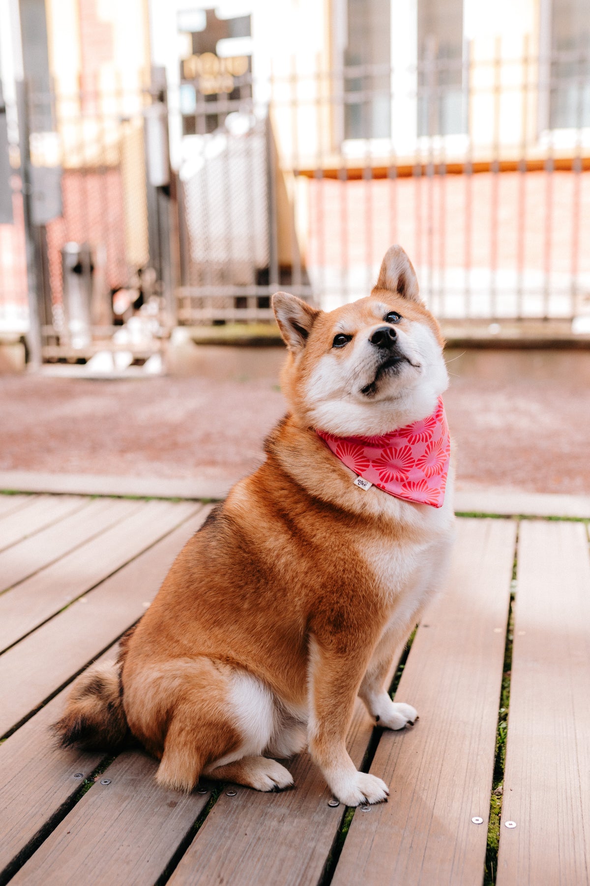 Bandana Romane