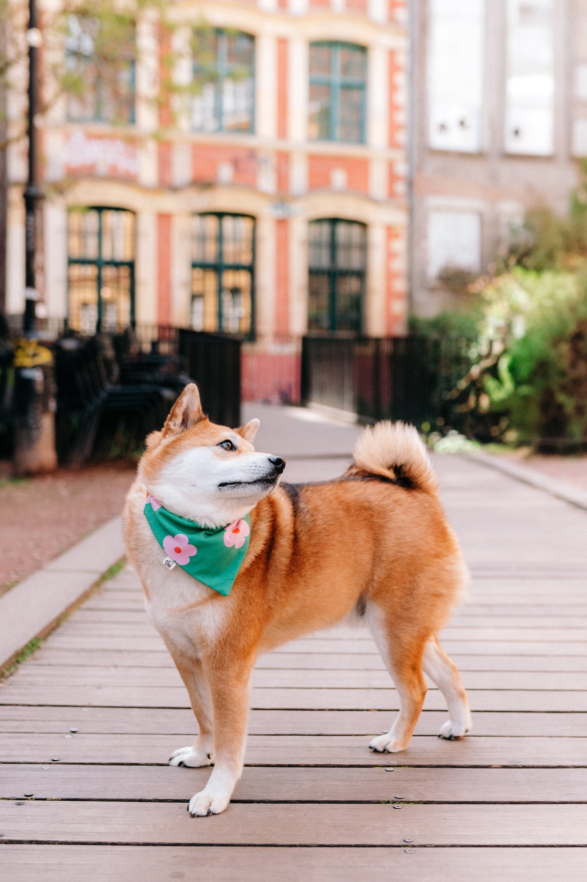 Bandana Véra