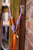Laisse multi-positions orange x lilas