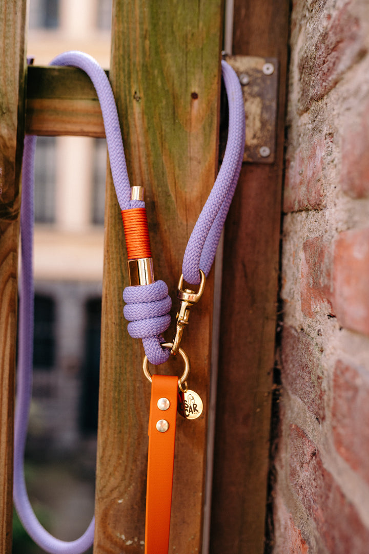 Laisse multi-positions orange x lilas