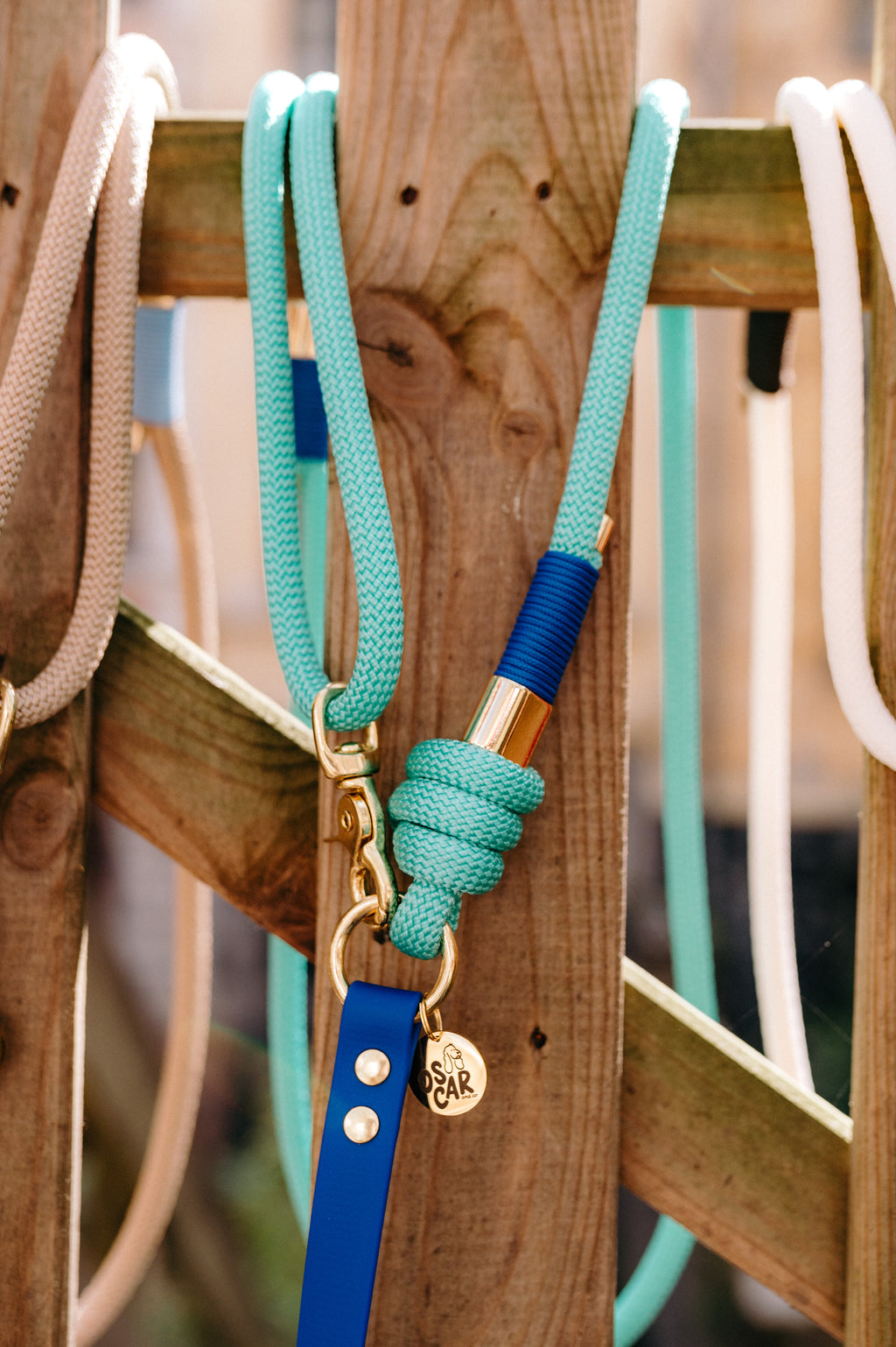 Laisse multi-positions bleu roi x menthe
