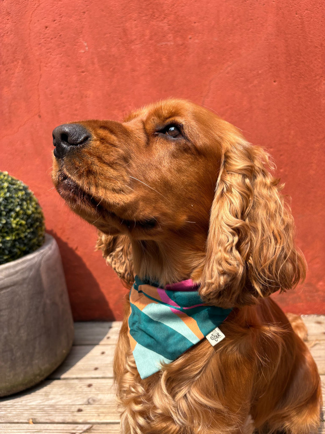 Bandana Félicie