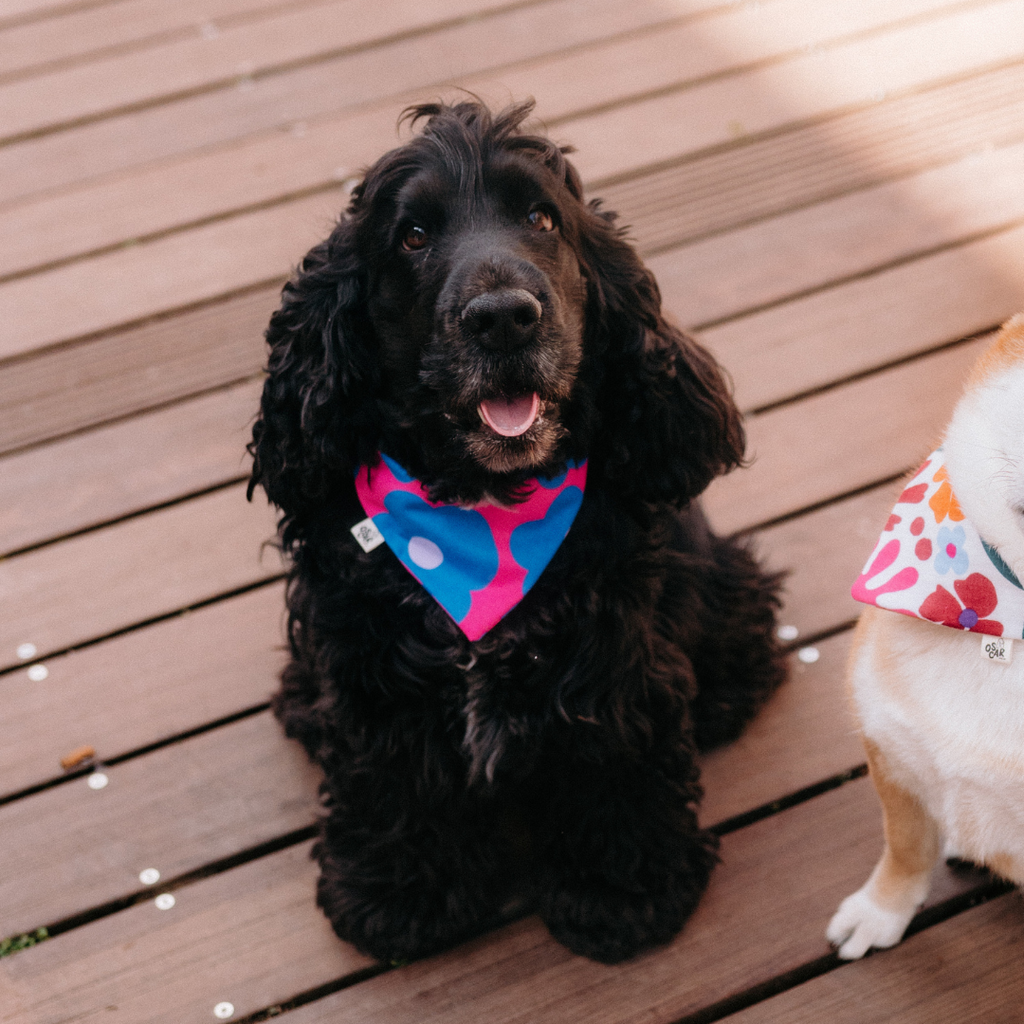 Bandana Eléonore