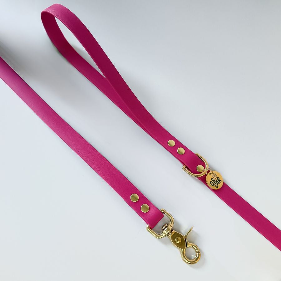 Laisse magenta