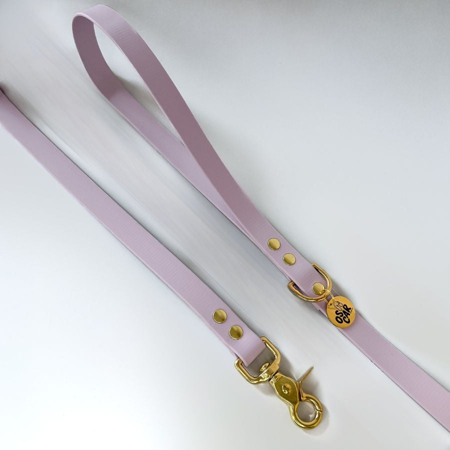 Laisse lilas
