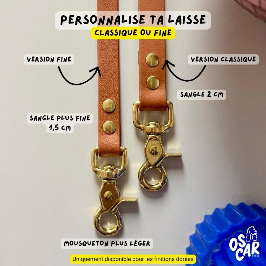 Laisse bleu roi