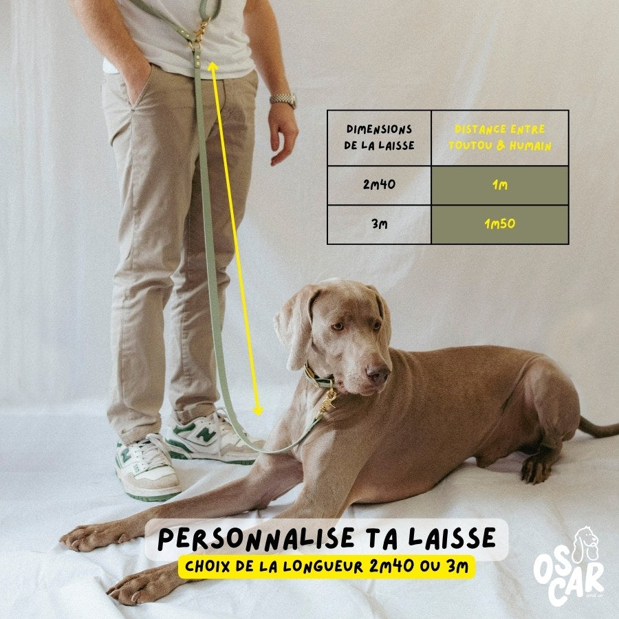 Laisse multi-positions Bleu Roi